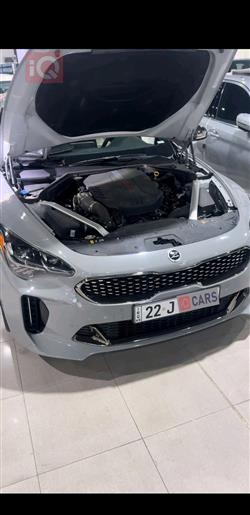 کیا ستینگەر